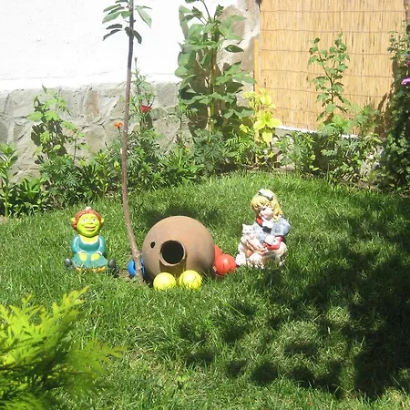 Aseva House Hotel 3*