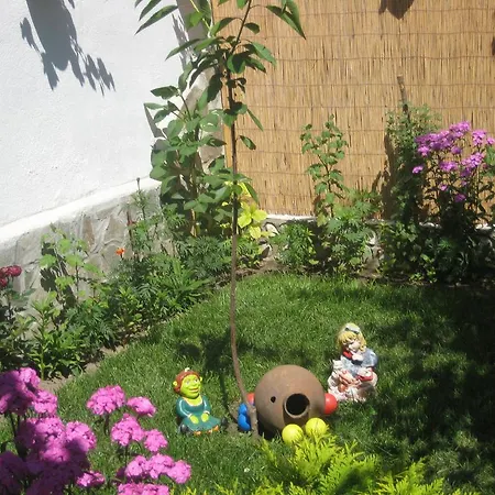 Aseva House 3* Bansko