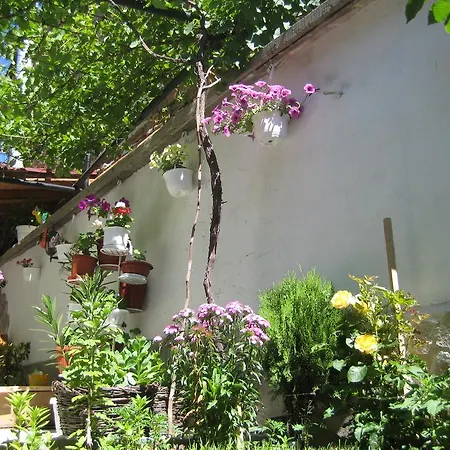 Hotel Aseva House Bansko