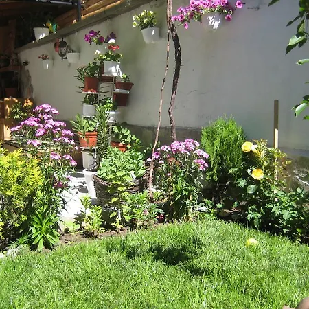 Aseva House Otel Bansko